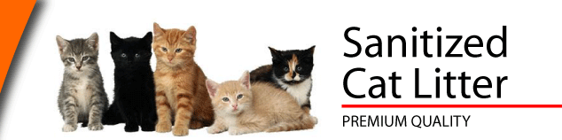 BioSand Sanitized Cat Litter - Premium Quality