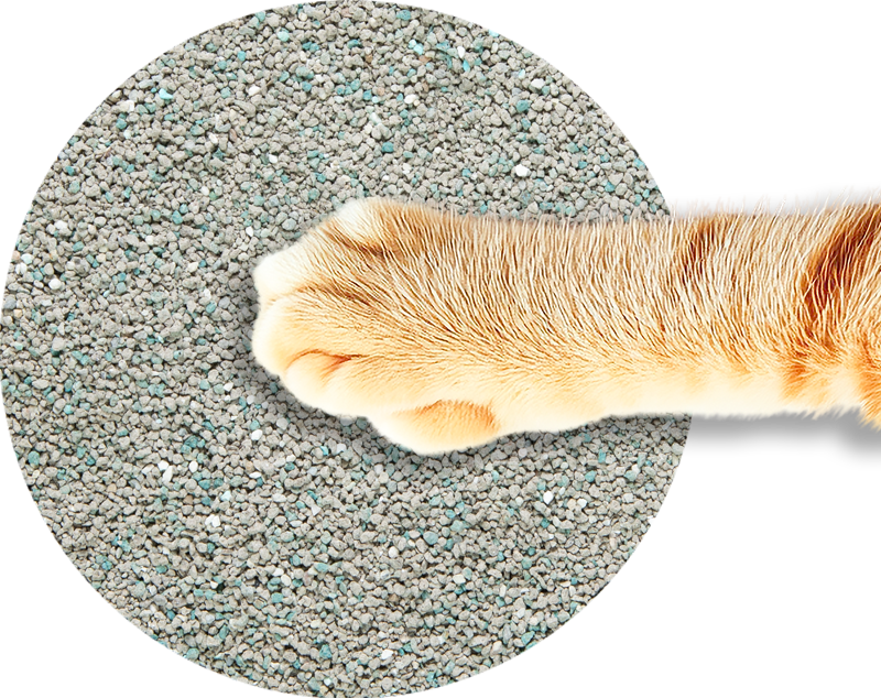 cerchio-zampa-sabbia-agglomerante-fine Super fine clumping cat litter